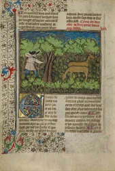 Un archer tirant sur des cerfs